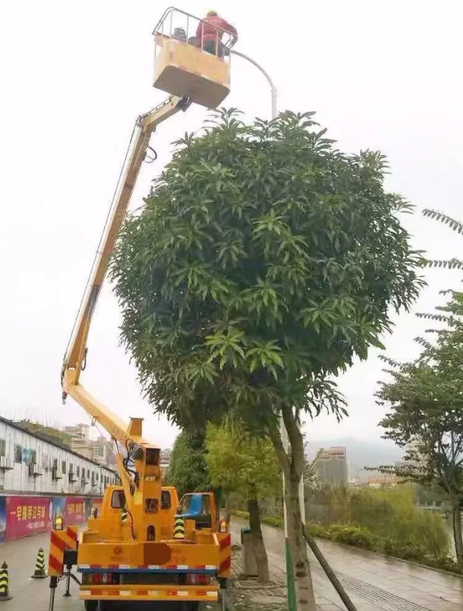 &#20048;&#40060;&#25163;&#26426;&#31449;&#20837;&#21475;&#45;&#20048;&#40060;&#111;&#110;&#108;&#105;&#110;&#101;&#40;&#20013;&#22269;&#41;